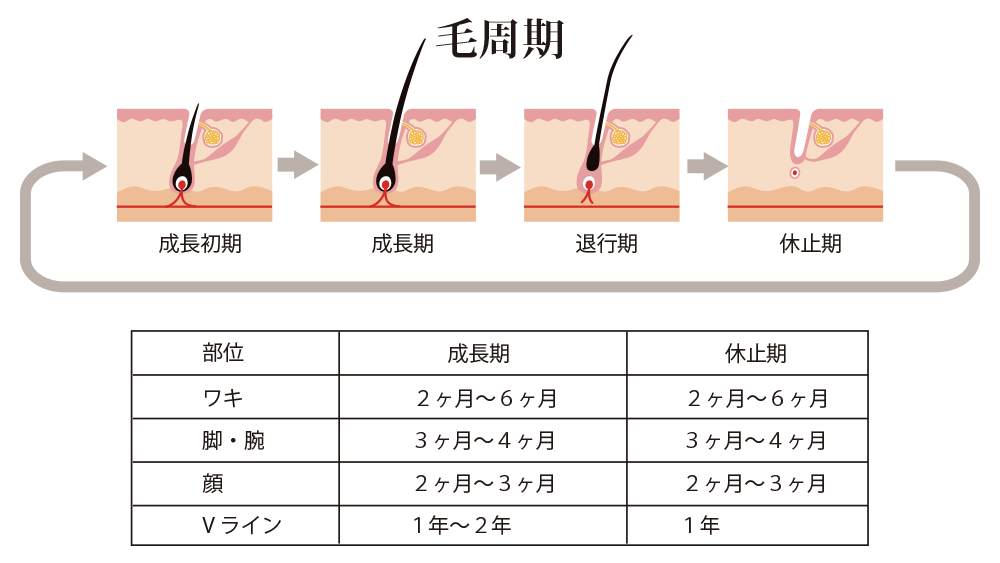 トータルビューティーサロン B-plus ビープラス